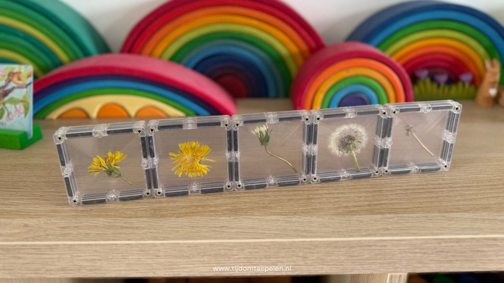 Paardenbloem CONNETIX Clear Tiles