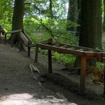 Waldkugelbahn in Mettingen een houten knikkerbaan midden in het bos (5)