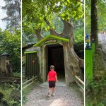 Dagje uit in Duitsland: Pretpark Sommerrodelbahn in Ibbenbüren