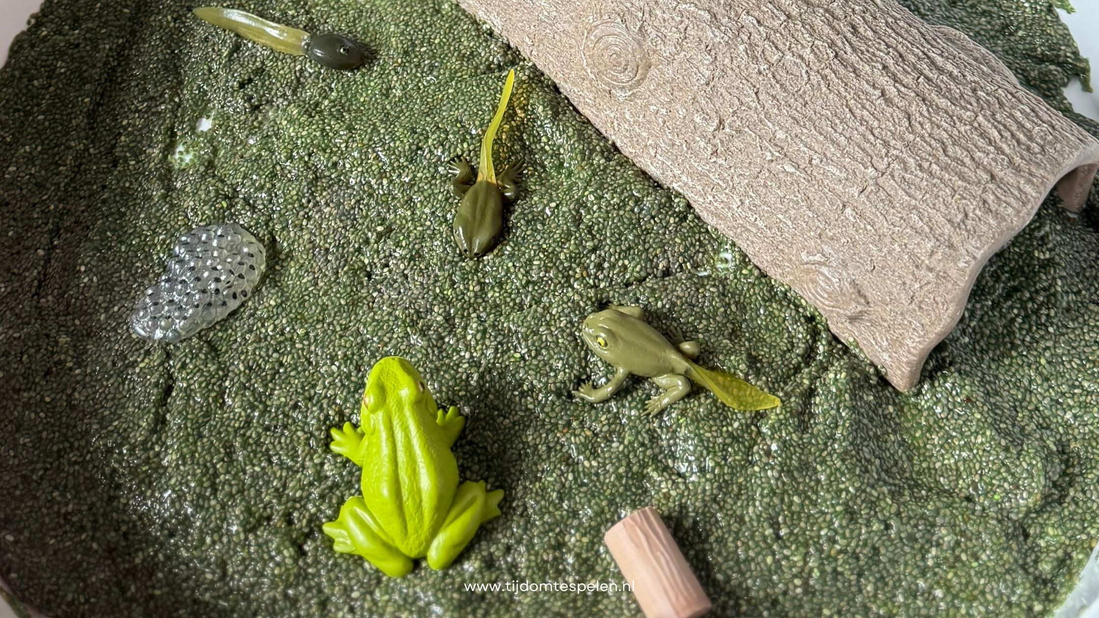 Zelf 'kikkerdril' maken van chiazaad: zo doe je dat (DIY)