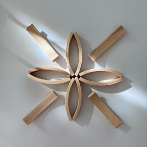 Abel Wooden Toys Wooden Toys-houten blokken mini 12 stuks