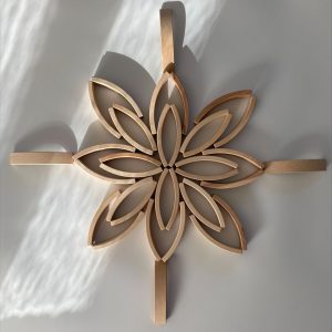 Abel Wooden Toys Wooden Toys-houten blokken mini 36 stuks