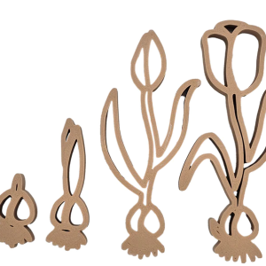 Grennn Uitstekers Cyclus Tulp