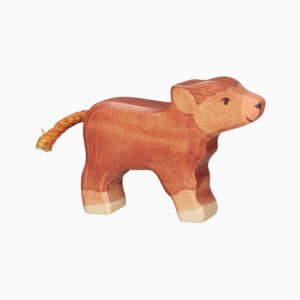 Holztiger-schotse hooglander jong van hout