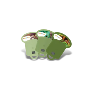 KidyWolf KIDYSTORIES Junglebook