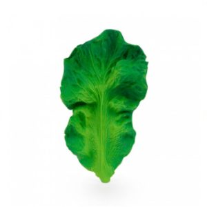 Oli & Carol Bijtspeeltje Kendall the Kale