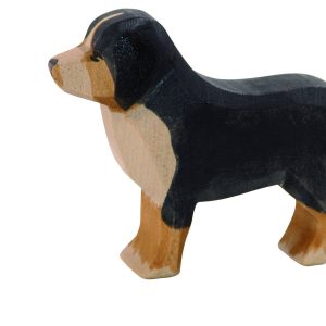 Ostheimer Berner Sennenhond 10521