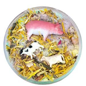 SensoryFun Sensory Fizz Boederij Mega Pot