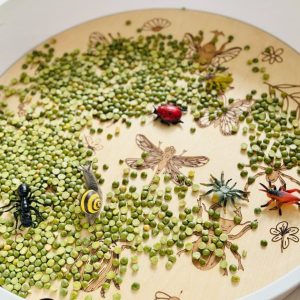 Inspire My Play Kiddi PlayPlate Insecten bij TijdOmTeSpelen.nl
