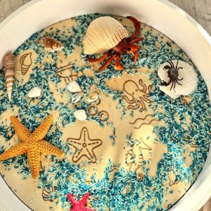 Inspire My Play Kiddi PlayPlate Oceaan bij TijdOmTeSpelen.nl